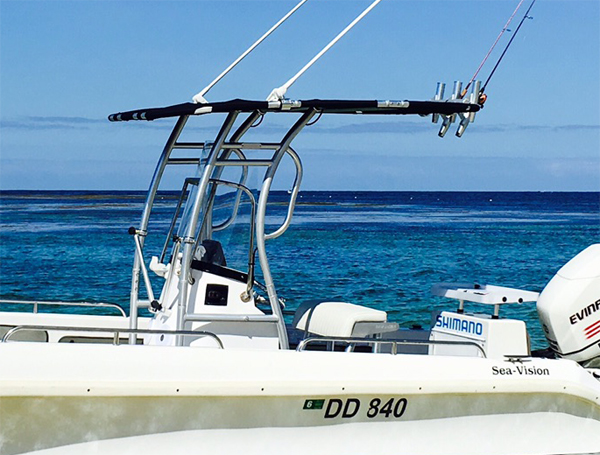 Promotion! Dolphin Pro2 Center - đánh giá và giá Fishing Rod Boat